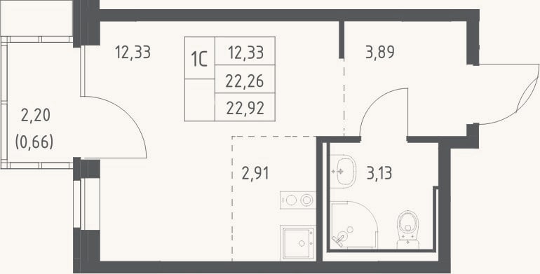 Планировка: Студия, 22,3 м²