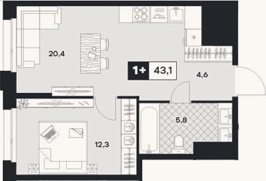 Планировка: 1-к, 43,1 м²