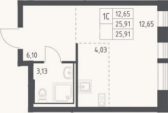Планировка: Студия, 25,9 м²