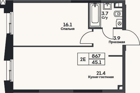 Планировка: 2-к, 45,1 м²