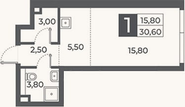 Планировка: Студия, 30,6 м²