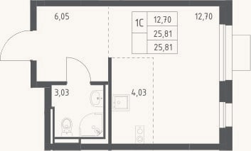 Планировка: Студия, 25,8 м²