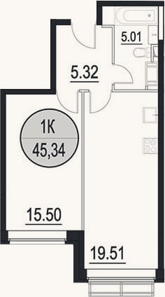 Планировка: 2-к, 46,4 м²