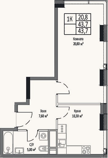 Планировка: 1-к, 43,7 м²