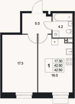Планировка: 1-к, 42,6 м²