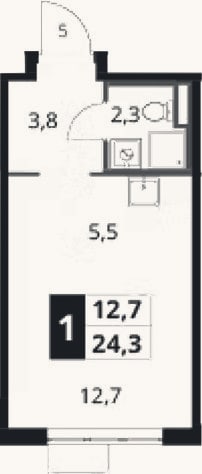 Планировка: Студия, 24,3 м²