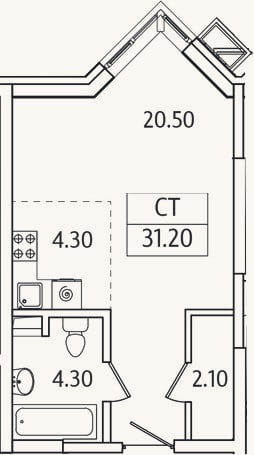 Планировка: Студия, 31,2 м²