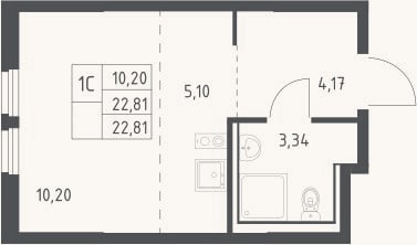 Планировка: Студия, 22,8 м²