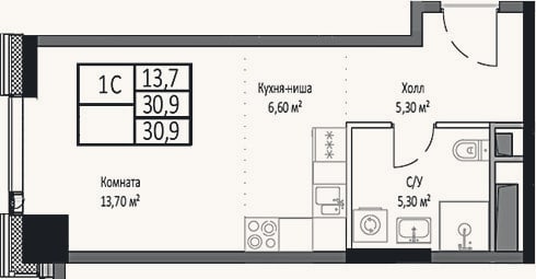 Планировка: Студия, 30,9 м²