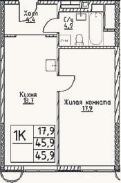 Планировка: 1-к, 45,9 м²