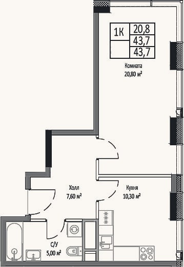 Планировка: 1-к, 43,7 м²