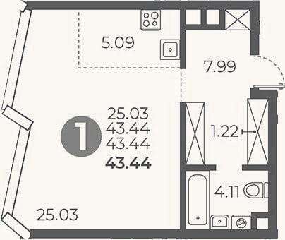 Планировка: Студия, 43,4 м²