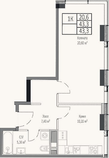Планировка: 1-к, 43,3 м²
