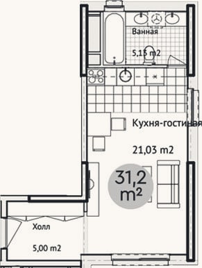 Планировка: Студия, 31,2 м²