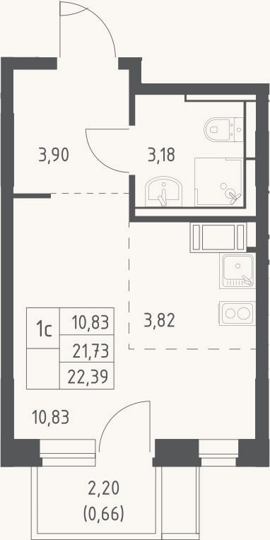 Планировка: Студия, 21,7 м²