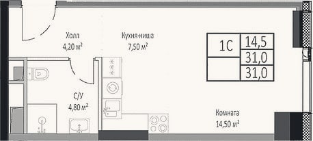 Планировка: Студия, 31 м²