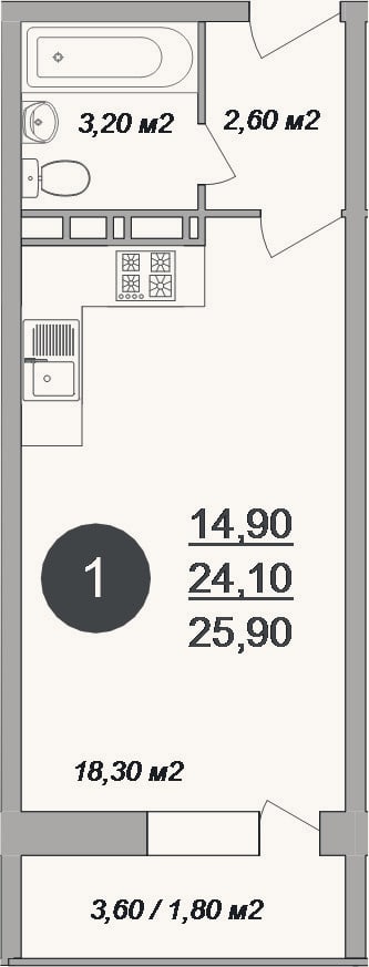 Планировка: Студия, 24,1 м²